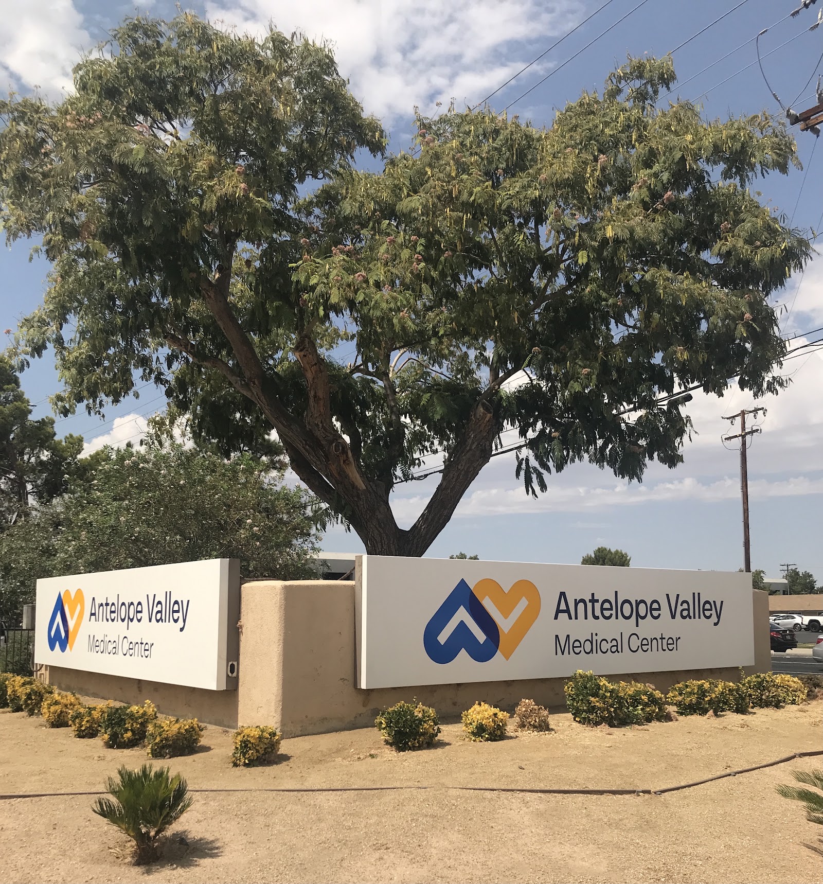 Exterior facility sign with Antelope Valley Medical Center logo, desert landscaping, large tree, and gravel ground area