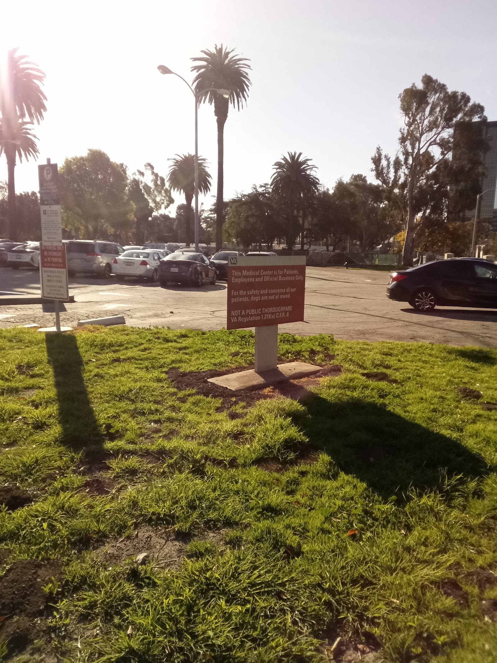 Exterior parking area with palm trees and landscaping surrounding medical center campus
