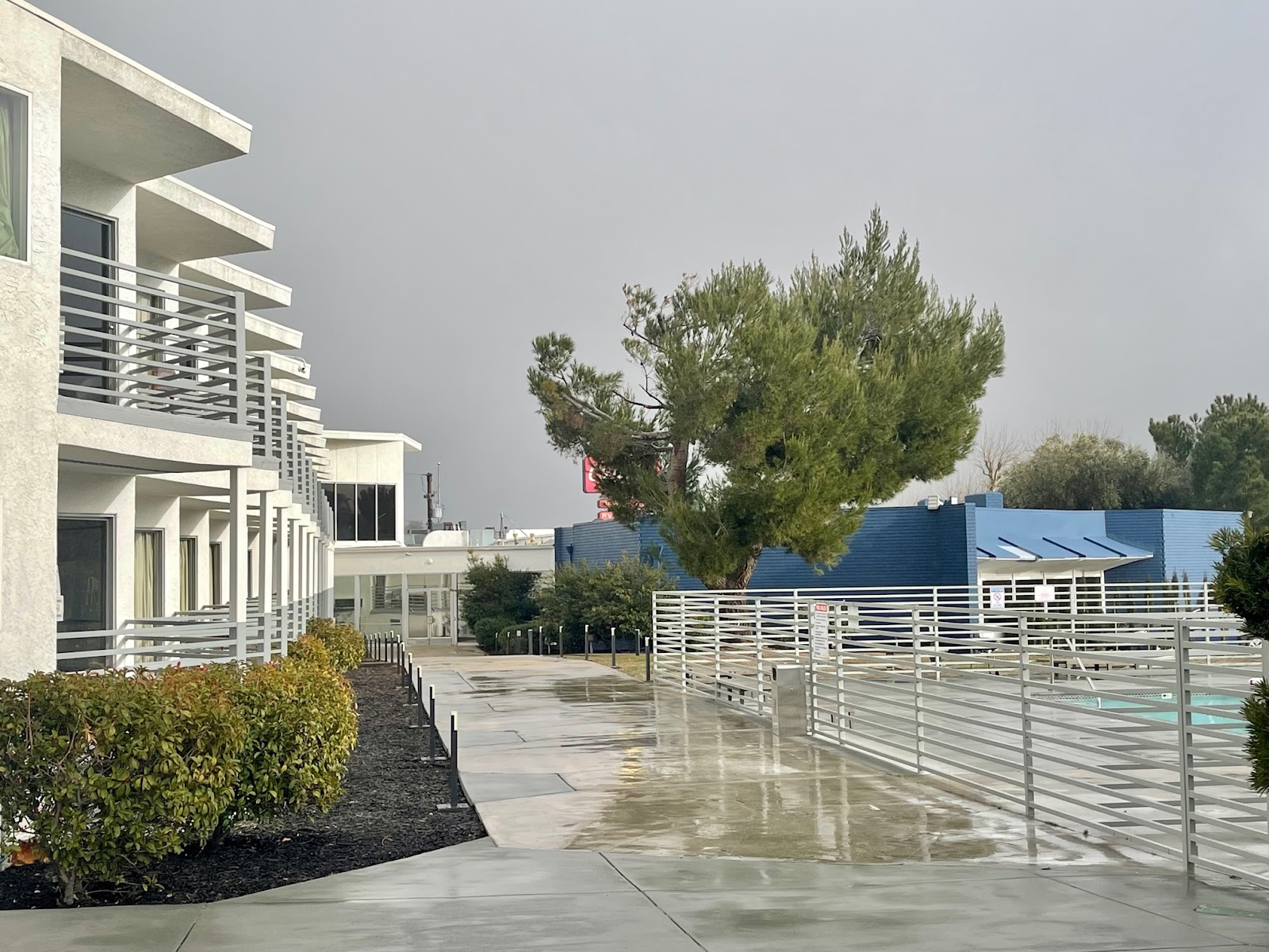 Exterior modern white two-story building with metal railings, wet concrete patio and landscaping