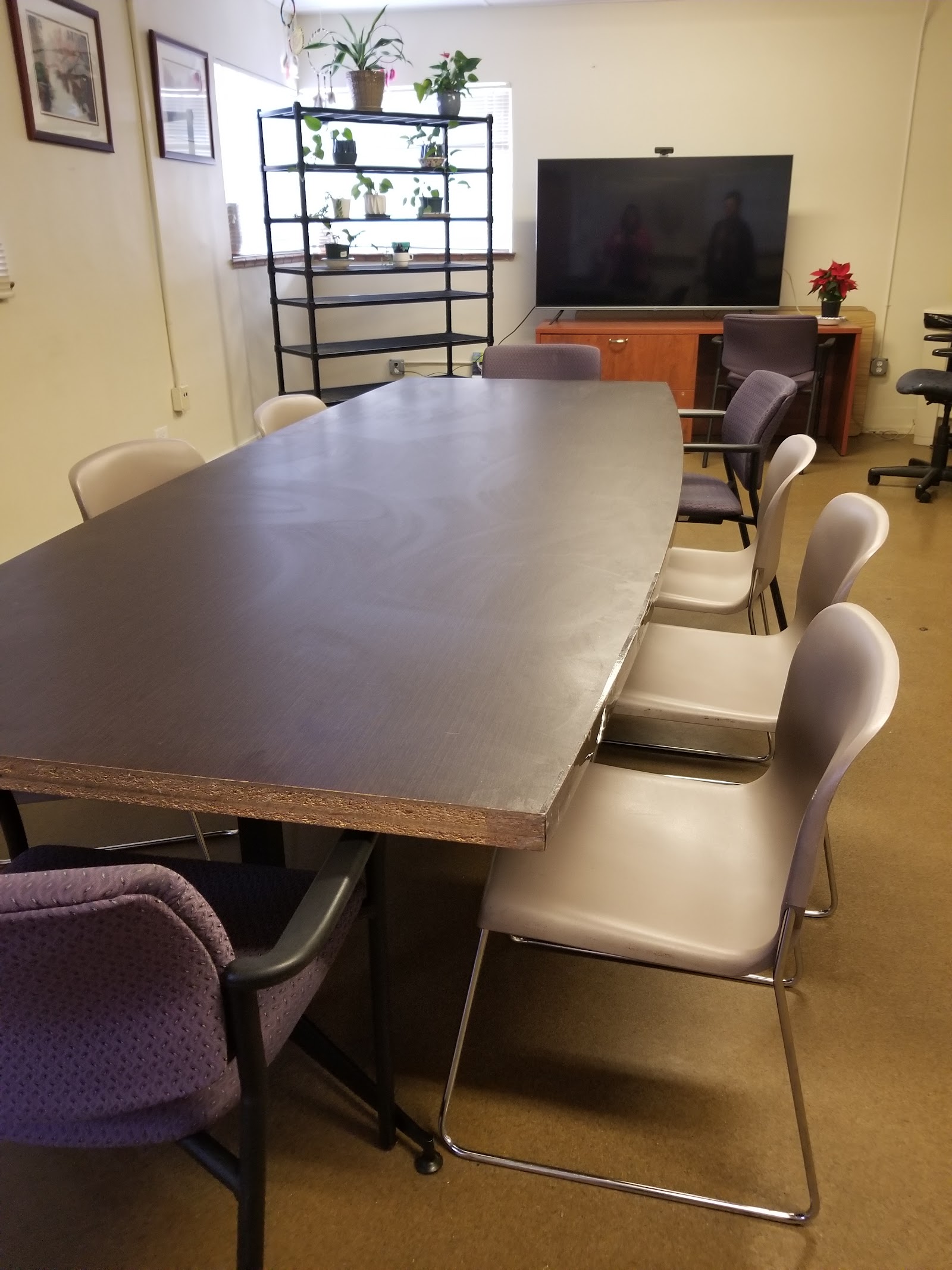 Interior meeting room with large conference table, multiple chairs, large window, shelf with plants, and flat screen television