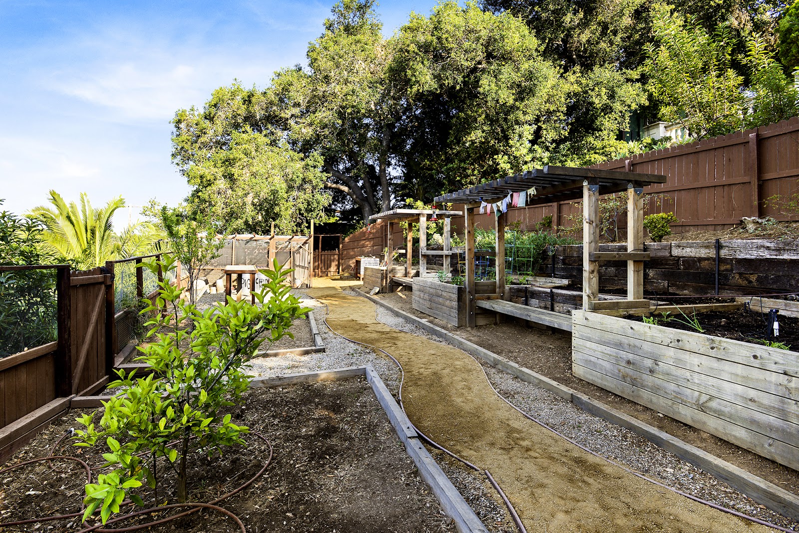 Exterior raised garden beds with plants and vegetables, surrounded by mature shade trees and natural landscaping