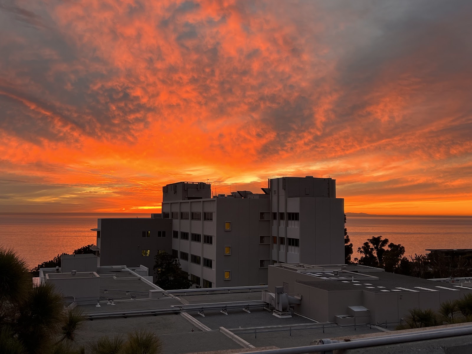 Exterior view of hospital building silhouetted against dramatic sunset sky over ocean