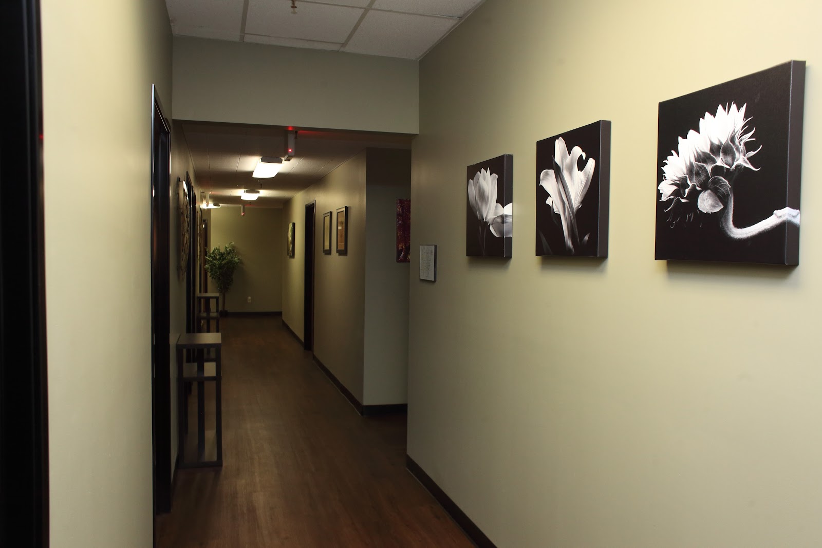 Interior hallway corridor with cream and dark accent walls, framed black and white flower artwork, and professional lighting