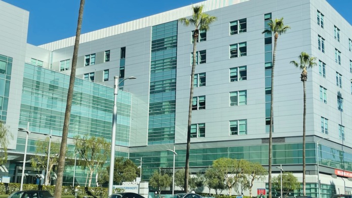 Exterior of modern medical facility with white and glass facade, palm trees, and street-level entrance