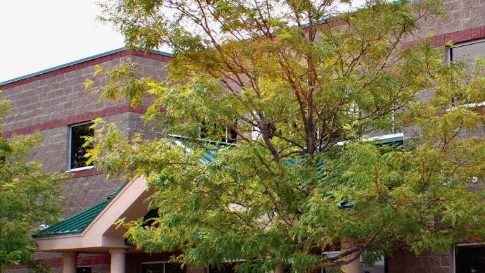 Exterior view of brick treatment center building with covered entrance portico, columns, and mature tree in landscaping