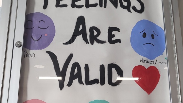 Interior facility poster displaying colorful emotional feelings chart with illustrated emotion faces and validation message