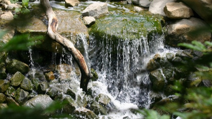 Outdoor natural waterfall cascading over rocks with moss and surrounding green vegetation and foliage