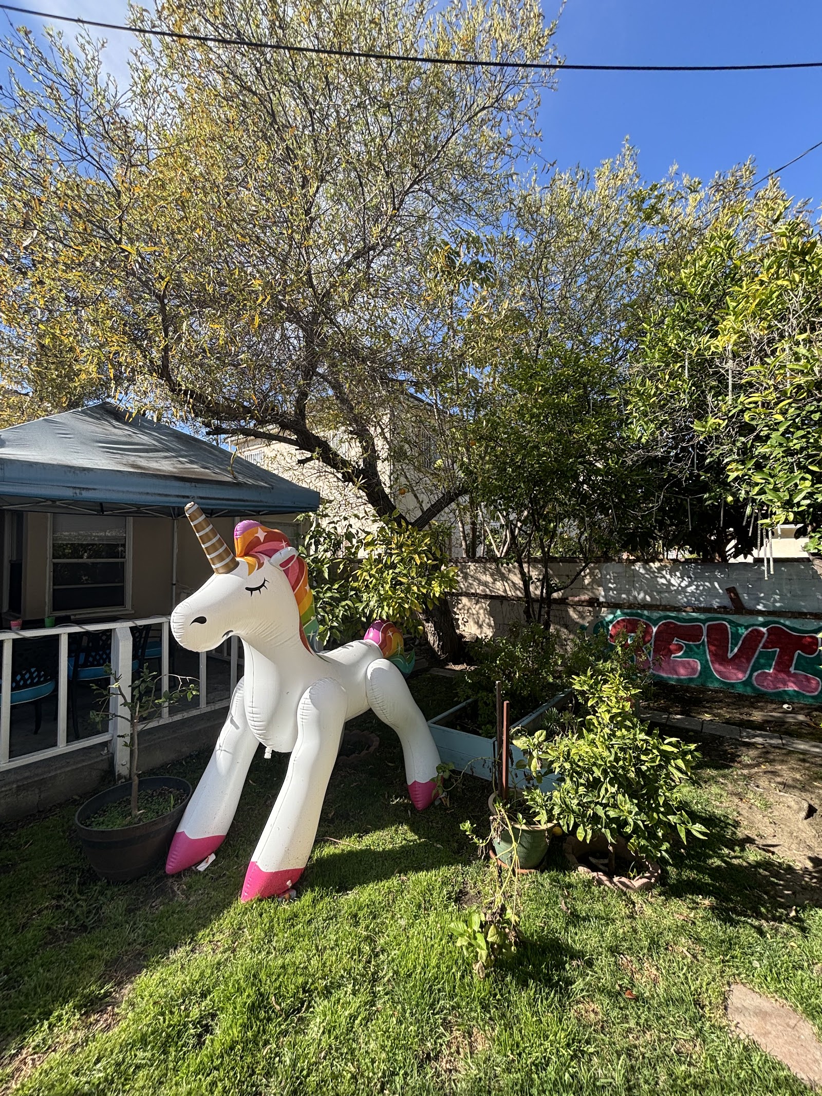 Exterior backyard area with covered tent, decorative unicorn sculpture, landscaping, and trees