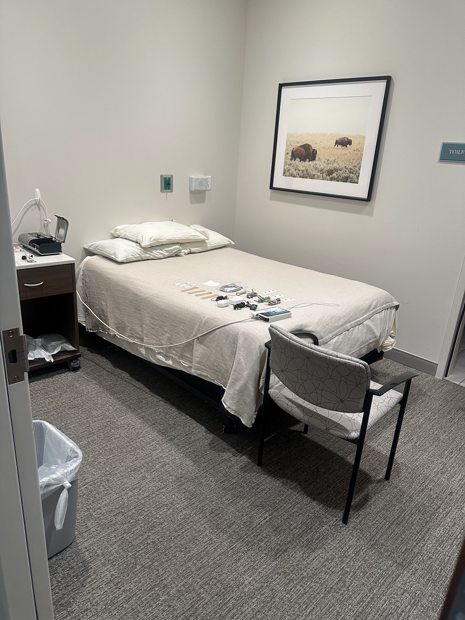Interior patient room with single bed, nightstand, desk workspace, chair, and framed landscape artwork