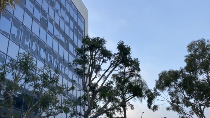 Exterior street-level view of facility building with mature tree landscaping, entrance, and surrounding urban environment