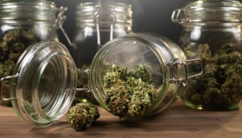 marijuana legalization public opinion