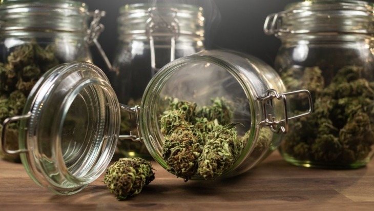 marijuana legalization public opinion