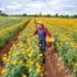 ohio farm addiction treatment sober