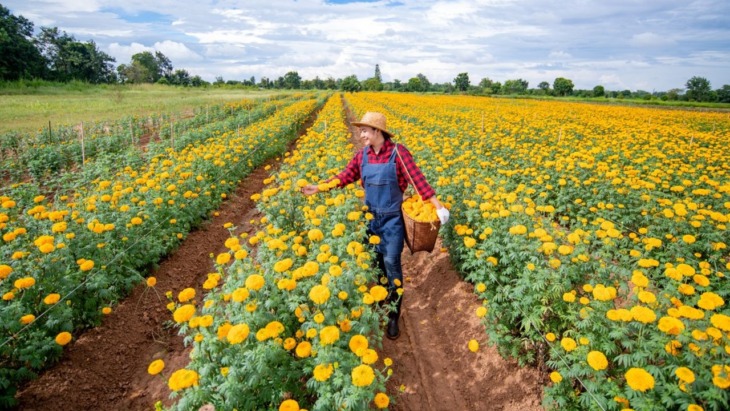 ohio farm addiction treatment sober